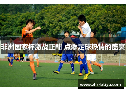 非洲国家杯激战正酣 点燃足球热情的盛宴